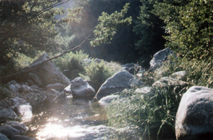 Gedanken fliessen - auch um Hindernisse - bringen in Bewegung